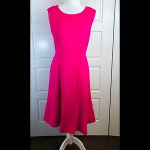 Talbots Rayon Blend Fitted Flare Dress. Sz 8 NWT